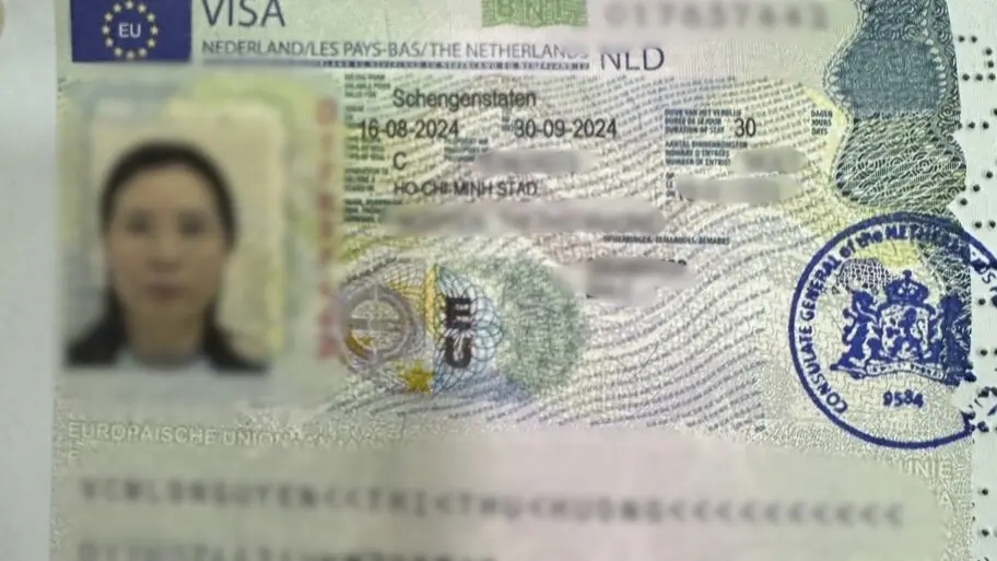 Kết quả Visa 1