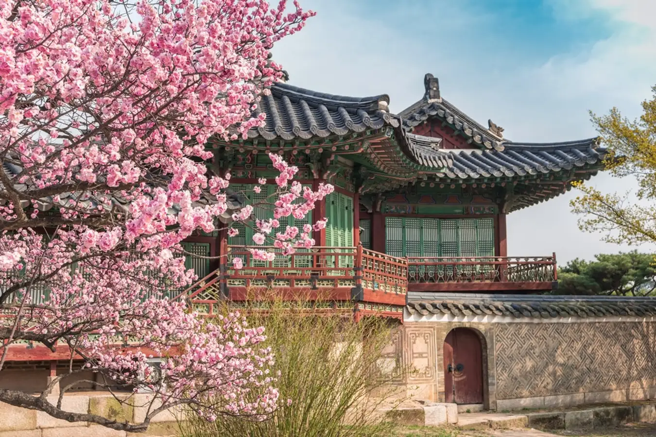 Hàn Quốc xinh đẹp vào mùa xuân!