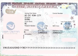 Dịch vụ visa Mỹ uy tín TP.HCM: Giải pháp chinh phục thị thực Hoa Kỳ cùng Visa Viettin